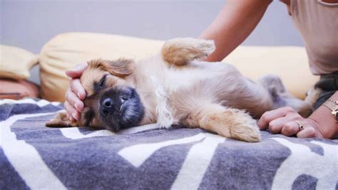 Coping with mother making verbal noises for no reason